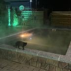Вилла (Вилла на 3 спальни), Коттедж Дыхание Адыгеи