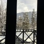 Коттедж (С видом на горы и лес 1), Гостевой дом Хвойная долина