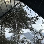 Коттедж (С видом на лес и горы 2), Гостевой дом Хвойная долина