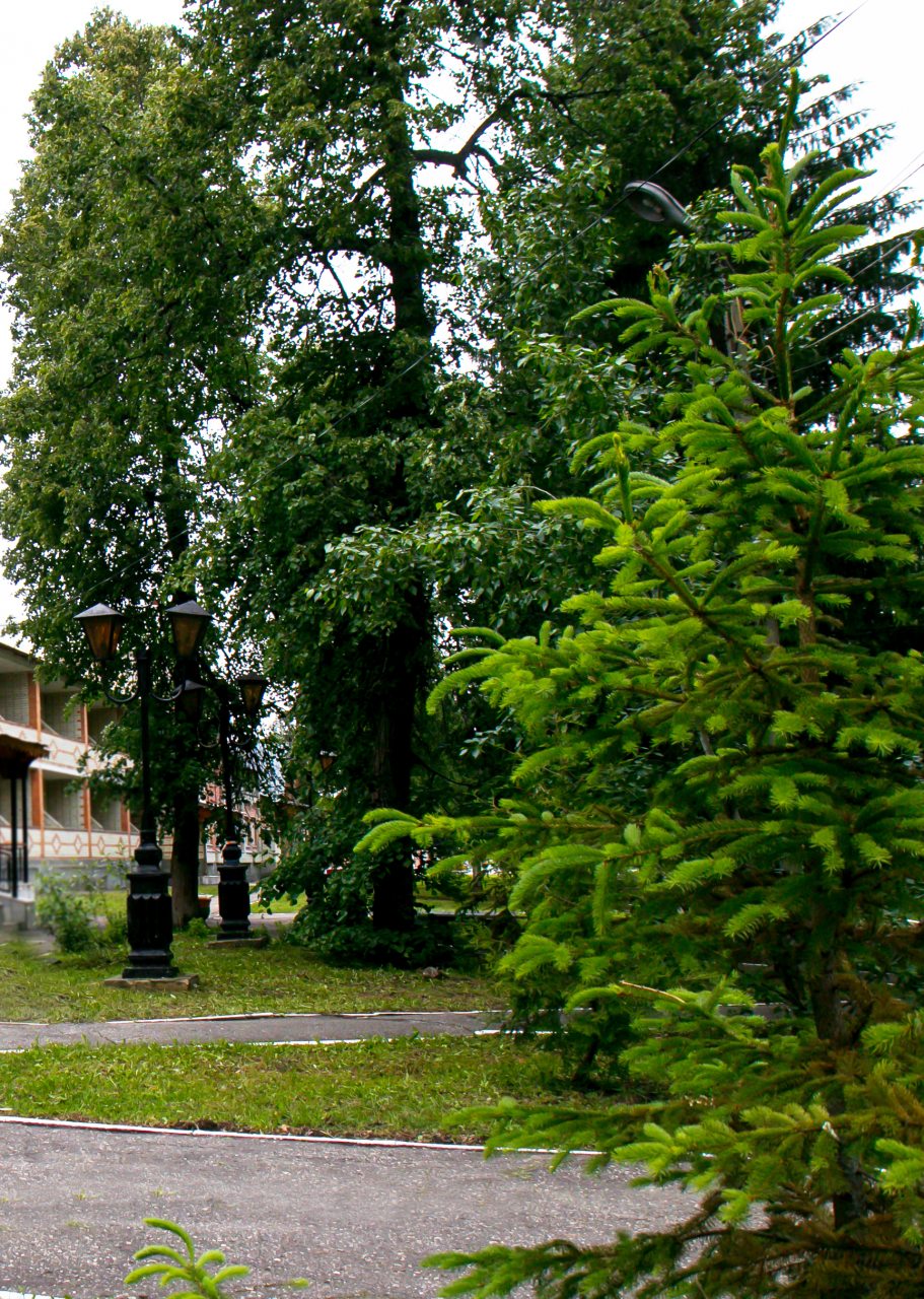 Полулюкс (Джуниор), Дом отдыха Прибрежный
