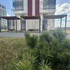 Апартаменты (Апартаменты 533 Санкт-Петербург), Апартаменты В Санкт-Петербурге