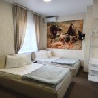 Двухместный (Номер с раздельными кроватями), Отель БОРИСОН