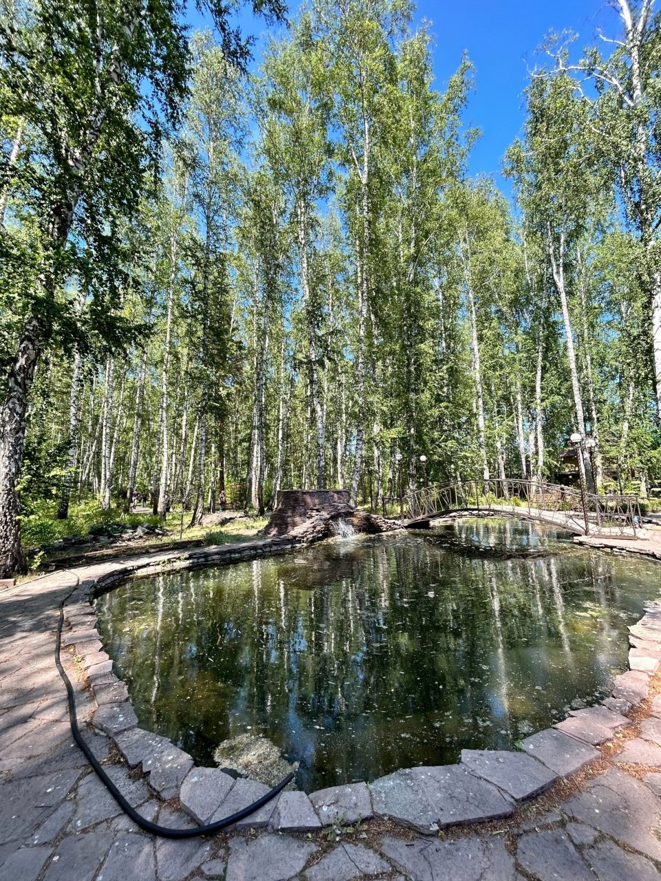 Одноместный (Однокомнатный номер), Санаторий Березовая роща