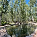 Одноместный (Однокомнатный номер), Санаторий Березовая роща