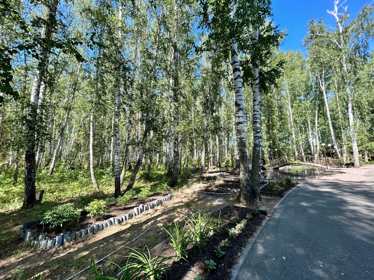 Одноместный (Однокомнатный номер), Санаторий Березовая роща