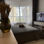Двухместный (Апартаменты Енисей с видом на реку), Апартаменты Золотое сечение ДеЛюкс