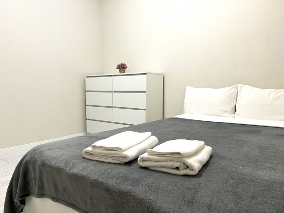 Апартаменты OGNI Apartments Светланская 116 (двухкомнатная)