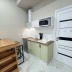 Апартаменты (Студия 1), Гостиница Эко Лэнд
