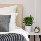 Апартаменты (Уютные), Апартаменты Jet Life