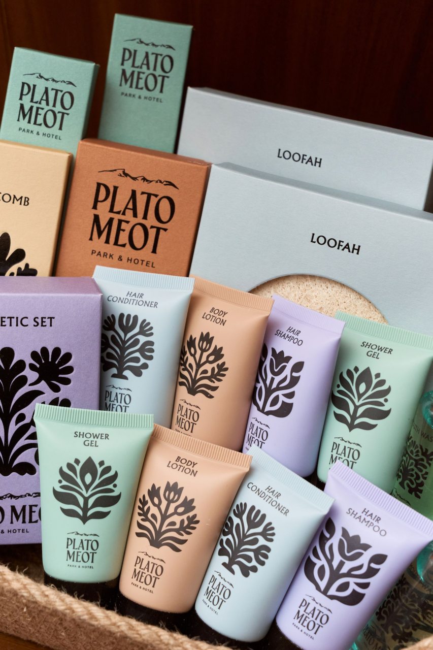 Двухместный (Стандарт с игровой консолью), Отель PLATO MEOT Park & Hotel