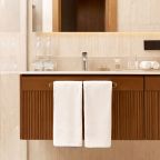 Двухместный (Стандарт с игровой консолью), Отель PLATO MEOT Park & Hotel