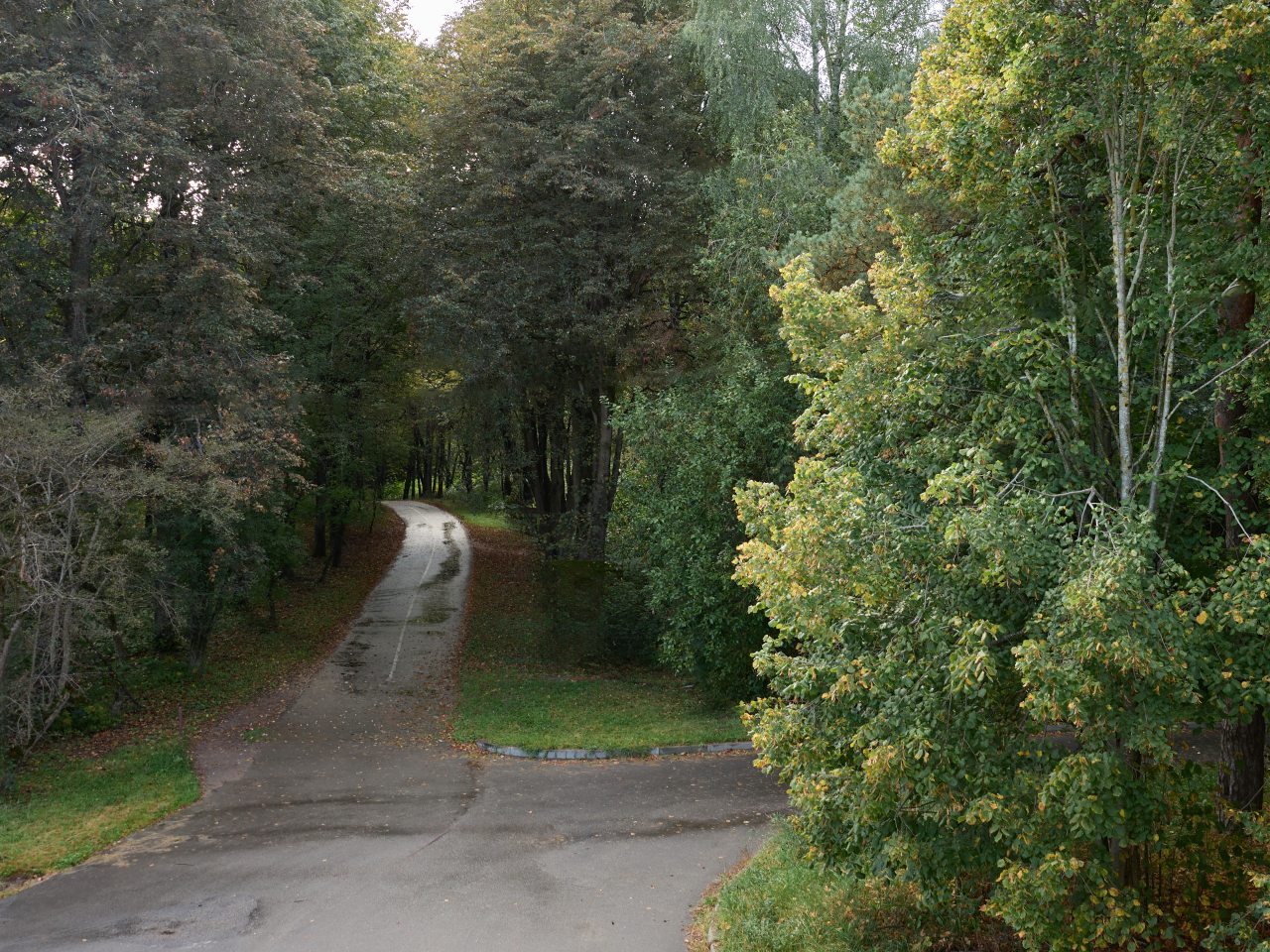 Двухместный (Комфорт), Отель Verdena