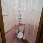 Удобная душевая и туалет в номере