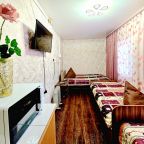 Мини-дом (Домик 2), Гостевой дом Серебряный Источник