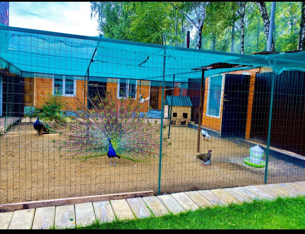 Трехместный (С двумя кроватями), Гостевой дом Пушкин