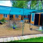 Трехместный (С двумя кроватями), Гостевой дом Пушкин