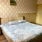 Трехместный (С 3 раздельными кроватями), Гостевой дом Пушкин