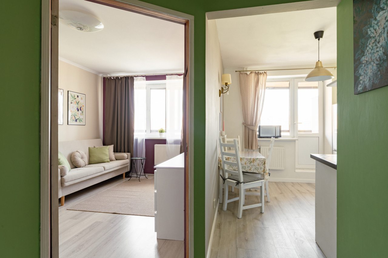 Квартира (RoomyRoom у метро Парнас), Апартаменты RoomyRoom у метро Парнас
