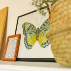 Квартира (RoomyRoom у метро Парнас), Апартаменты RoomyRoom у метро Парнас