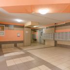 Квартира (RoomyRoom у метро Парнас), Апартаменты RoomyRoom у метро Парнас