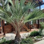 Автостоянка / Парковка, Коттедж Мадлен