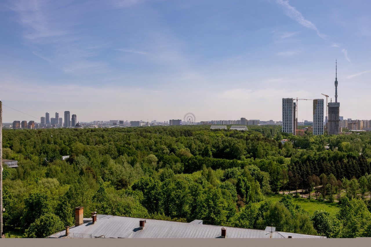 Семейный (Видовой апартамент), Апартаменты Гринка