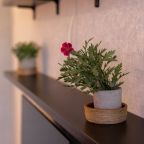 Апартаменты (Сибирь Хаус), Апартаменты Сибирь Хаус около Парка Ангелов