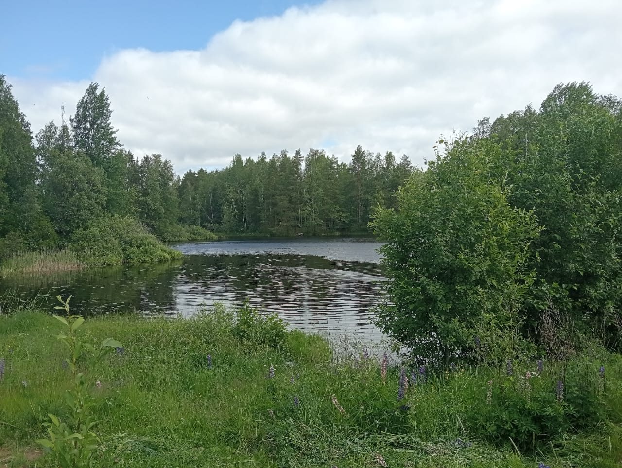 Тихое место, База отдыха Озерное
