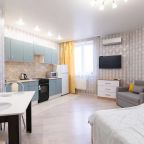 Апартаменты (На Новомосковской 4 (156)), Апартаменты Hedonism Aparts на Новомосковской 4