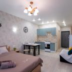Апартаменты (На Новомосковской 4 (160)), Апартаменты Hedonism Aparts на Новомосковской 4