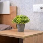 Апартаменты (На Новомосковской 4 (160)), Апартаменты Hedonism Aparts на Новомосковской 4