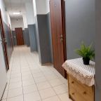 Коридор хостела с небольшой тумбой и декоративным растением.