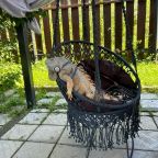 по согласованию, Гостиница Игуана
