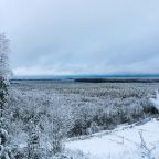 Двухместный (Комфорт), Санаторий Красное озеро