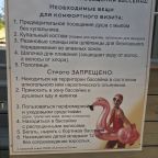 Трёхместный и более (Шикарные апартаменты с бассейнами), Апартаменты На Володарского