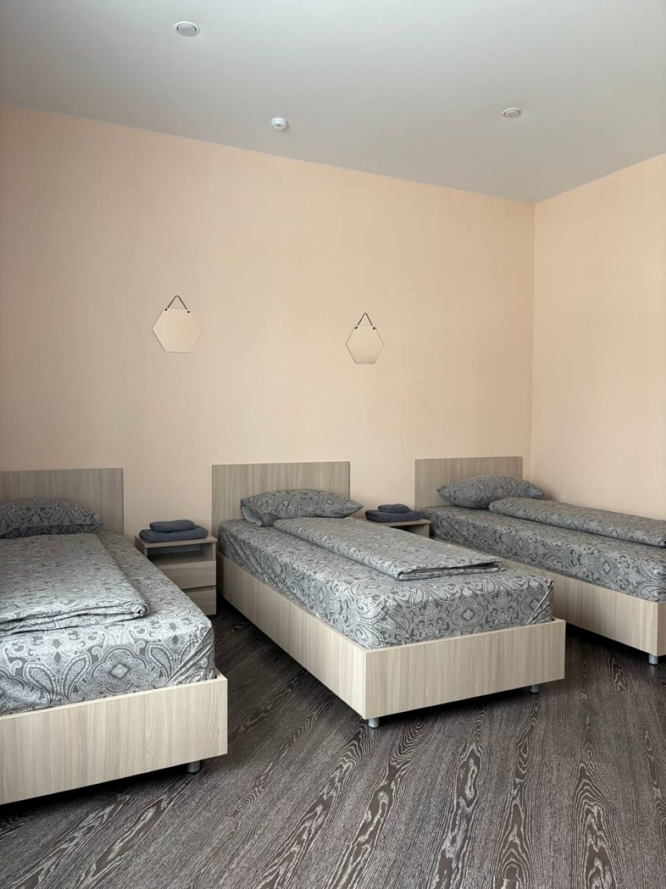 Трёхместный и более (Номер 3х местный), Мини-отель София
