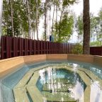 Коттедж (Дубль3 с панорамной сауной и купелью), Коттедж Дубль-дом в Green Forest Club