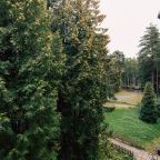 Двухместный (Номер с двуспальной кроватью в Комарово у Финского залива), База отдыха Дом творчества писателей