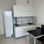 Трёхместный и более (Квартира-студия, 31 м², 2 кровати), Апартаменты На проспекте Авиаконструкторов