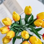 Четырехместный (Пять Звёзд Бульвар Славы), Апартаменты Пять Звёзд Бульвар Славы