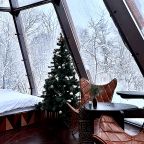 Двухместный (Неотипи), Гостевой дом Woody Village Riverside