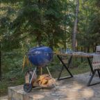 Четырехместный (Семейная сфера), База отдыха Лесной Релакс