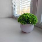 Одноместный, Апартаменты На Октябрьской, 38
