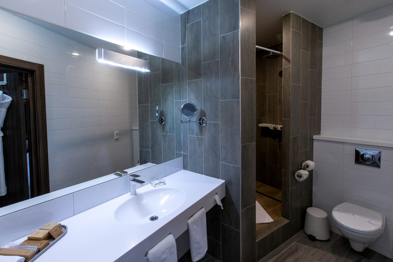 Двухместный (Standard Comfort, c 1 кроватью или 2 отдельными кроватями), Отель Kamarooms Business Hotel & Spa