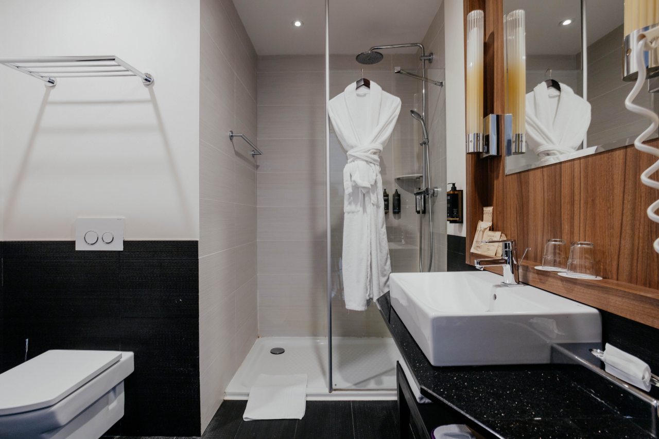 Двухместный (Стандартный номер с 1 кроватью), Отель Mercure