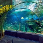 в шаговой доступности, Гостевой дом Орион