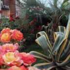 Сад, Мини-отель Планета-МОВ