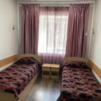 Двухместный (Номер эконом-класса с 2 отдельными кроватями), Гостиница Лососинская