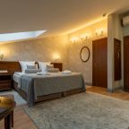 Двухместный (Номер с 1 кроватью или 2 отдельными кроватями - Мансарда), Петр Отель