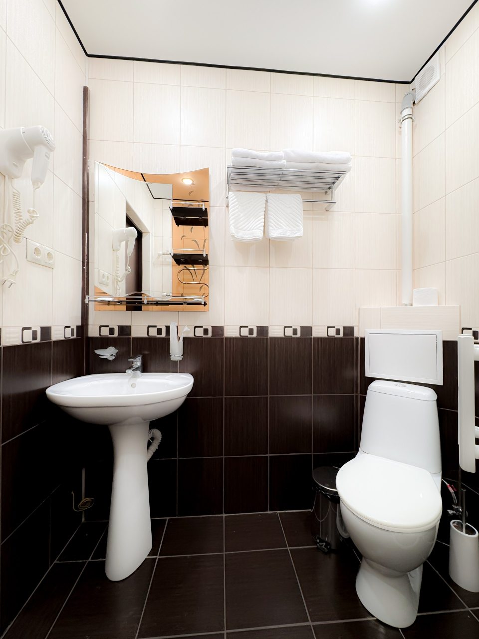 Двухместный (Полулюкс 2 раздельные кровати), Гостиница Тройка